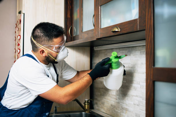 Wasp Removal Services in Taylorsville, UT