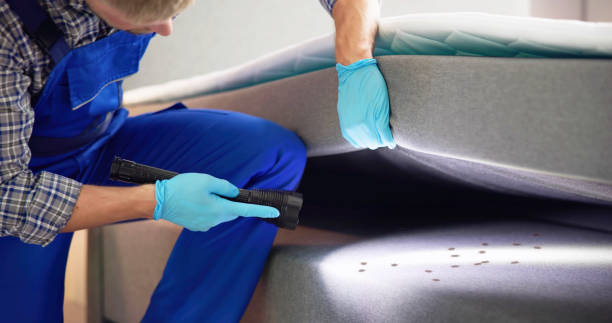 Pest Control for Restaurants in Taylorsville, UT