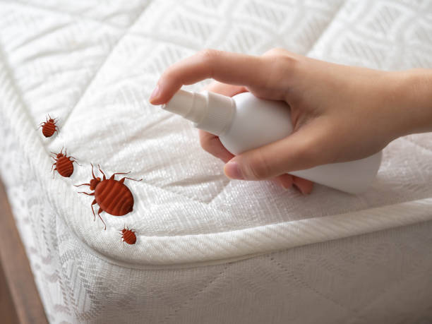 Best Pest Removal Services  in Taylorsville, UT