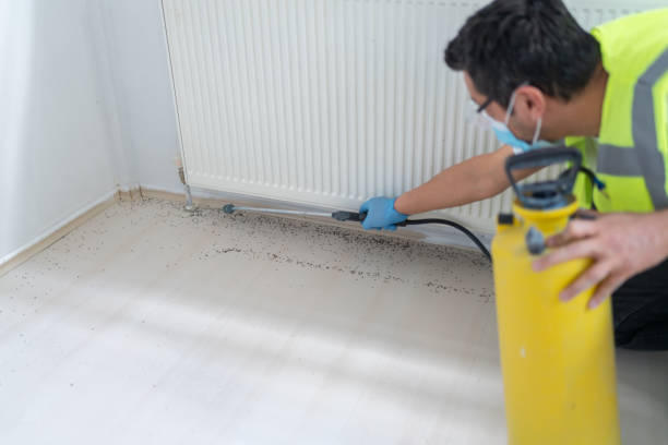 Best Best Pest Control Companies  in Taylorsville, UT