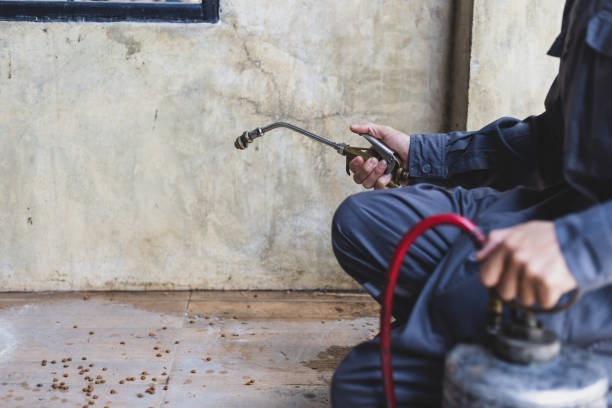 Pest Control Cost in Taylorsville, UT